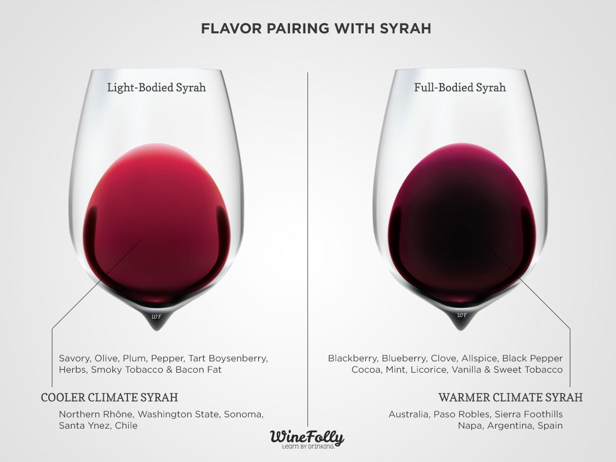 A Syrah/Shiraz fajtajellegei