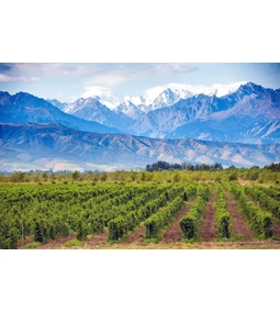A Malbec story (II. rész)