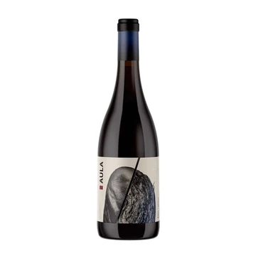 Aula: Bobal-Merlot 2019 száraz vörösbor (Valencia, Spanyolország)