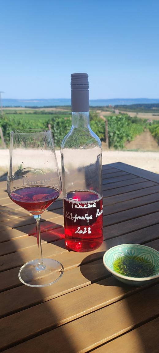 Tánczos Kékfrankos rosé