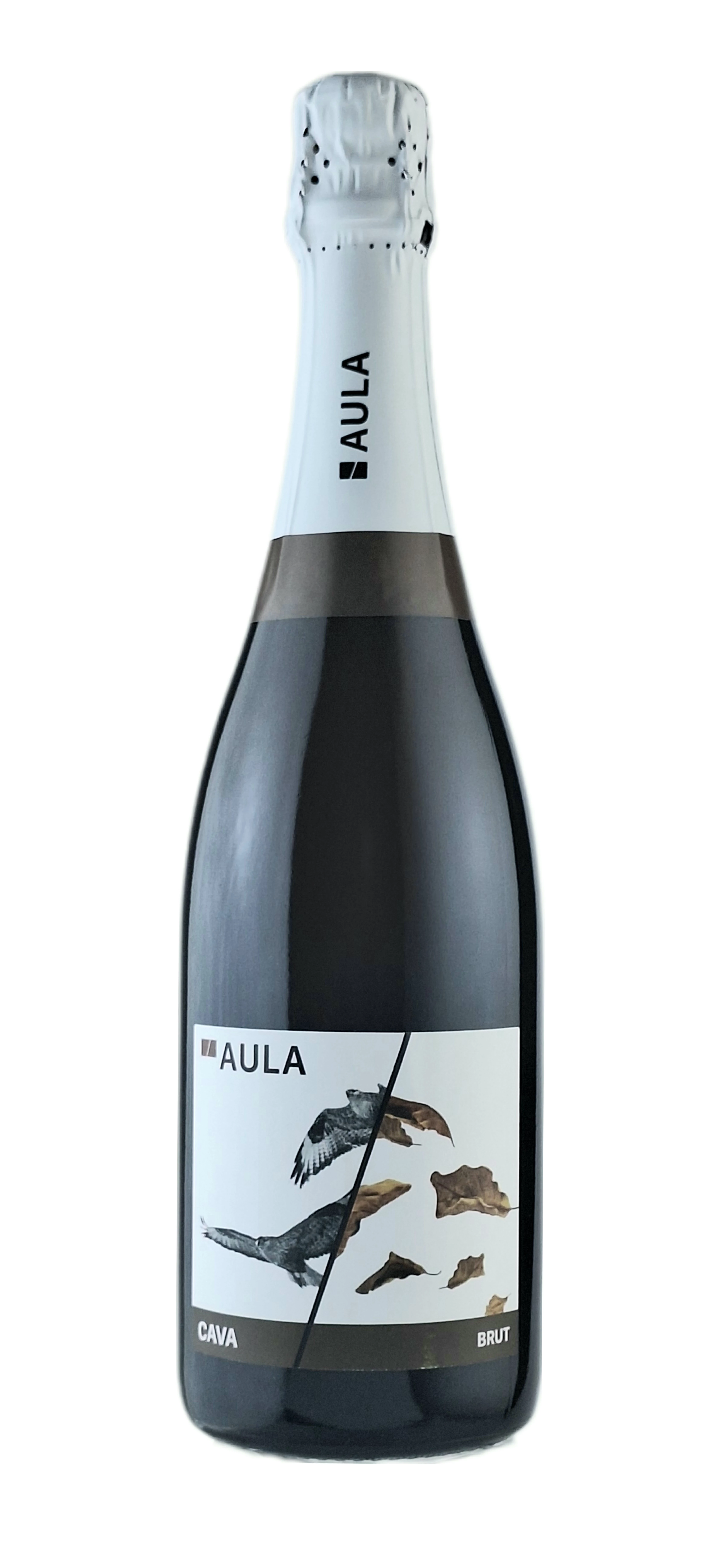 Aula: Cava Brut non-vintage száraz pezsgő (Penedes, Spanyolország)