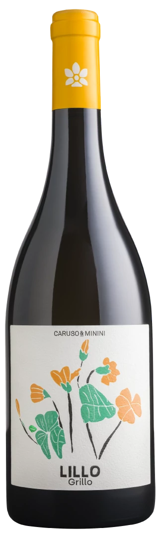 Caruso & Minini: 