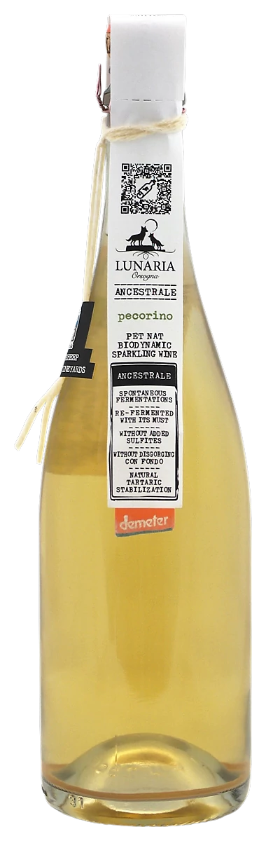 Orsogna: Spumante BIO Pecorino Pet Nat száraz fehér pezsgő (Abruzzo)